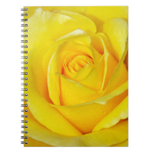 Beautiful yellow rose petals notebook
