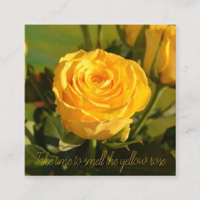 Beautiful Yellow Rose Photo Personalized Enclosure Card (Front)