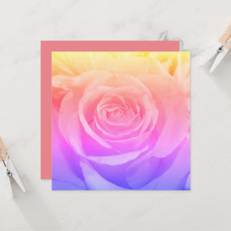 Beautiful Yellow Rose Photography