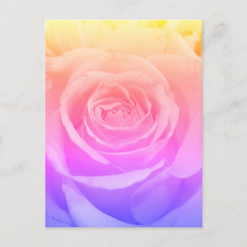 Beautiful Yellow Rose Photography Postcard