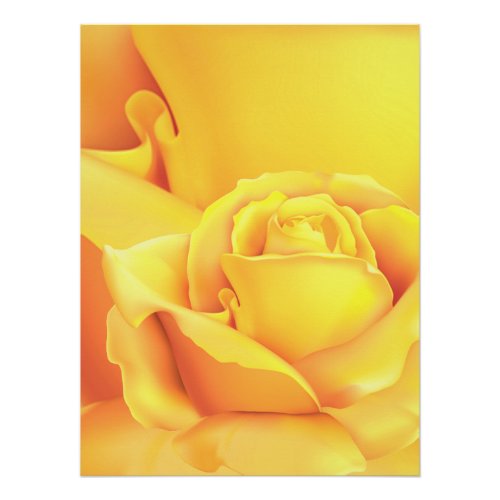 Beautiful Yellow Rose Poster