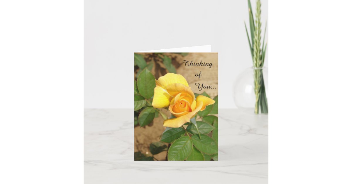 Beautiful Yellow Rose Thinking of You Card | Zazzle.com