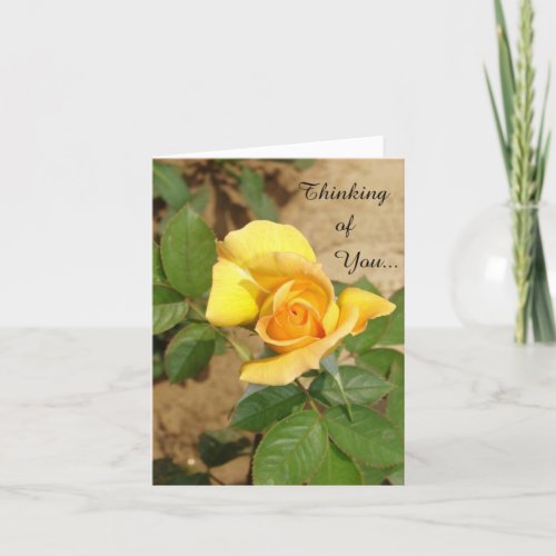 Beautiful Yellow Rose Thinking of You Card