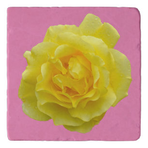 Beautiful yellow rose trivet