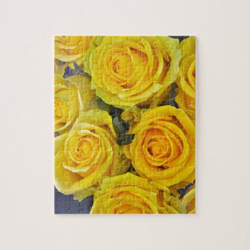 Beautiful yellow roses jigsaw puzzle