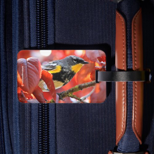 Beautiful Yellow_Rumped Warbler in the Tree Luggage Tag