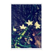 Beautiful yellow small flowers
