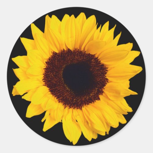 Beautiful Yellow Sunflower Sticker Envelope Seal