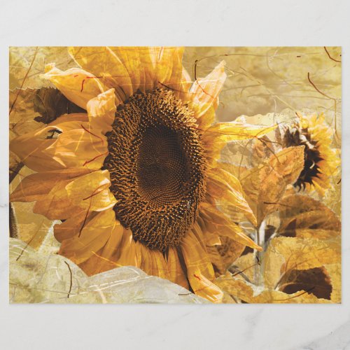 Beautiful Yellow Texture Giant Sunflower Photo Art