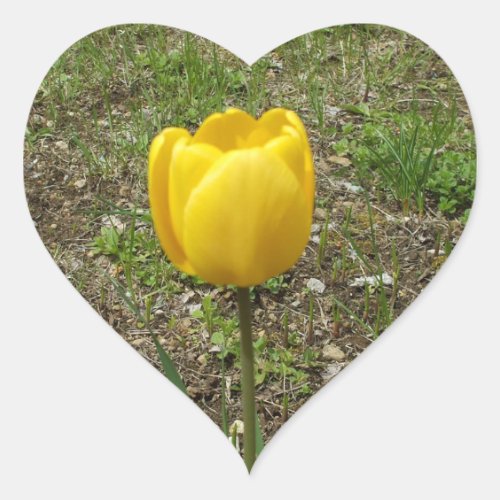 Beautiful Yellow Tulip Heart Sticker