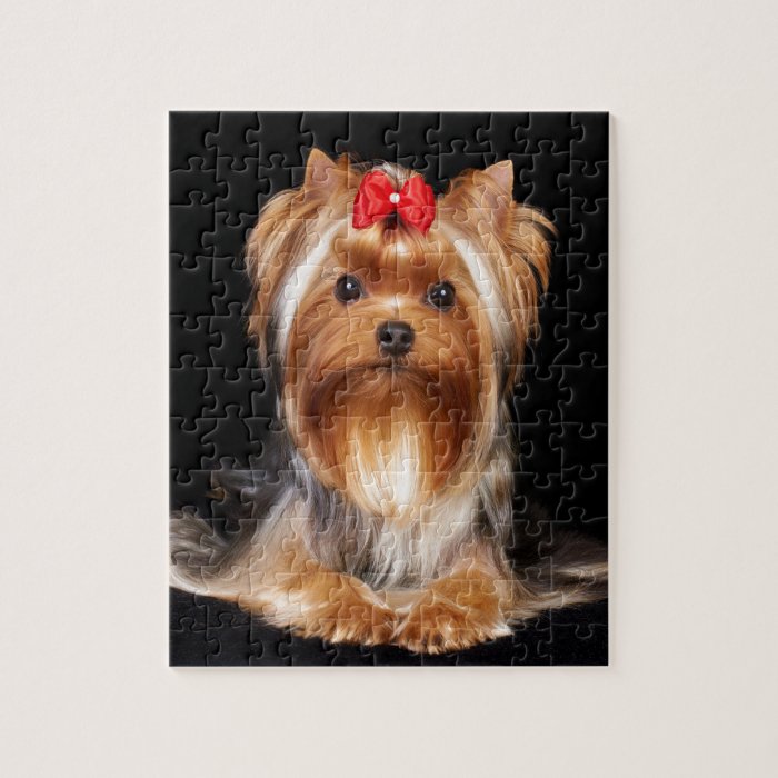 puzzle yorkshire terrier