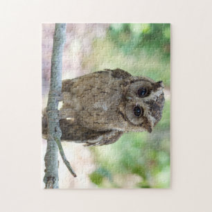 Beautiful Young Owl Jigsaw Puzzle