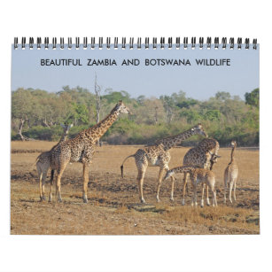 BEAUTIFUL ZAMBIA AND BOTSWANA WILDLIFE CALENDAR
