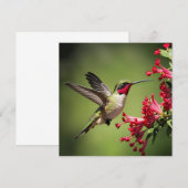 Beautifull Hummingbird (Front/Back)