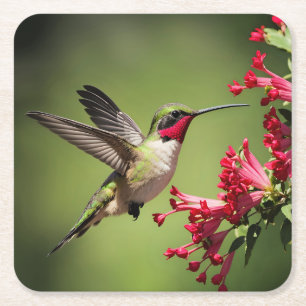 Beautifull Hummingbird Square Paper Coaster