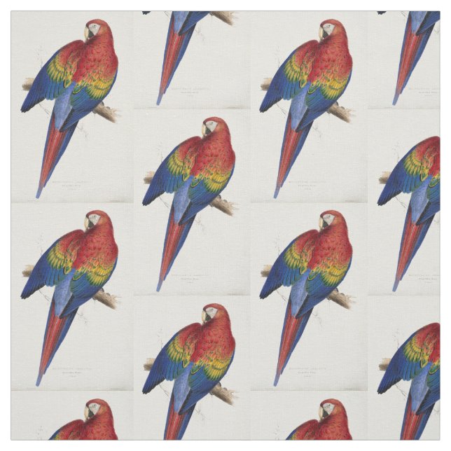 beautifully colored macaw parrot fabric (Swatch)