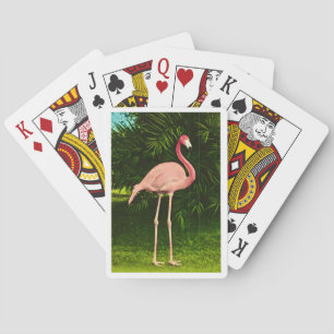 Beautifully Pink Flamingo Playing Cards