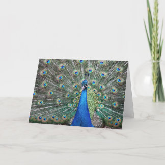 BeautifulPeacock Letterpress Thank You Card