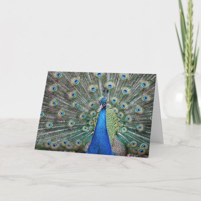 BeautifulPeacock Letterpress Thank You Card (Front)