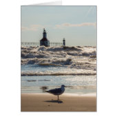 Beauty And Force (Front)