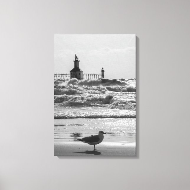 Beauty And Force Grayscale Canvas Print (Front)