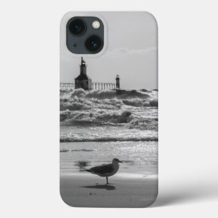 Beauty And Force Grayscale iPhone 13 Case