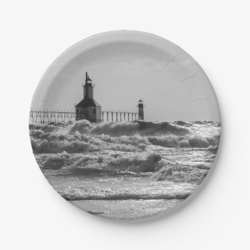 Beauty And Force Grayscale Paper Plates