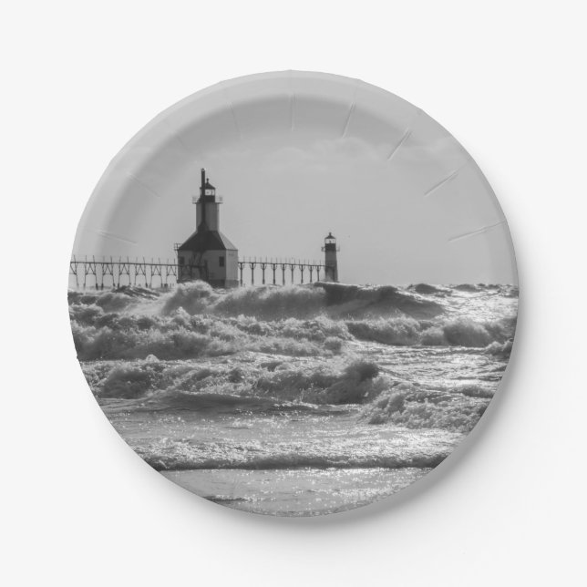 Beauty And Force Grayscale Paper Plates (Front)