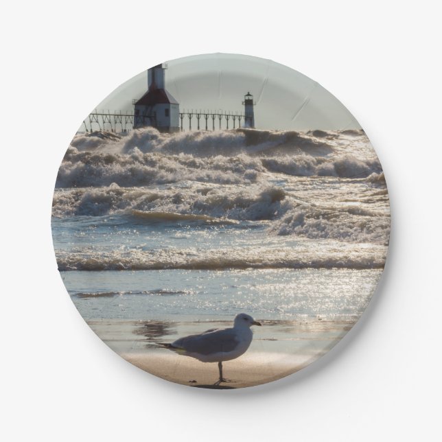 Beauty And Force Paper Plates (Front)