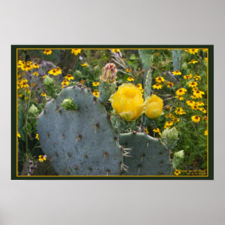 Beauty and the Beast Poster