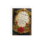 Beauty and the Beast Sweet 16 Invitations