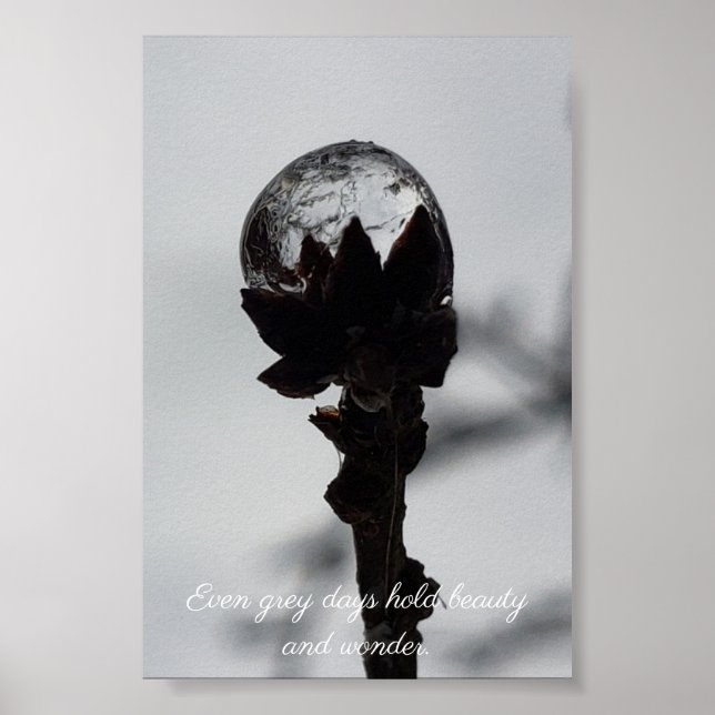 Beauty and wonder frozen raindrop poster (Front)