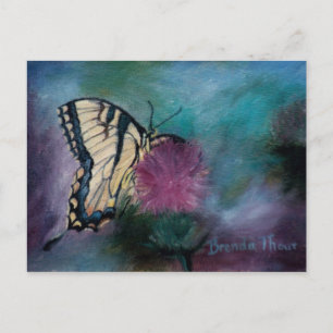 Beauty Butterfly Postcard