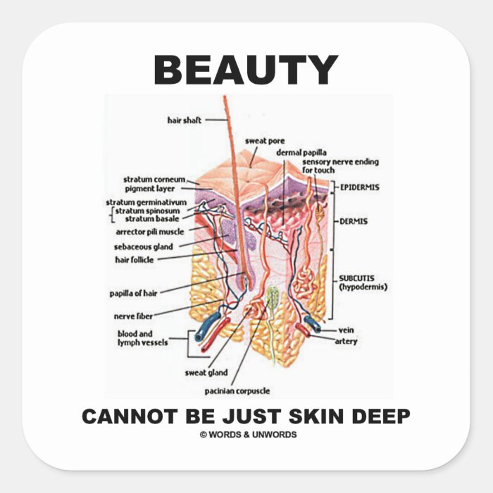 Beauty Cannot Be Just Skin Deep (Skin Layers) Square Sticker