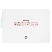 Beauty Cards (Back Horizontal)