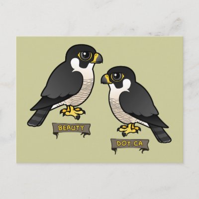 Beauty &amp; Dot.Ca Postcard