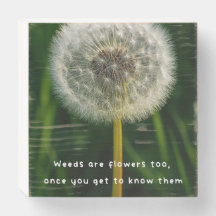 Beauty eye beholder dandelion weed quote unique 