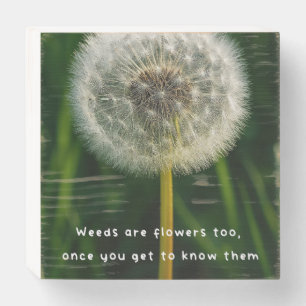 Beauty eye beholder dandelion weed quote unique  wooden box sign