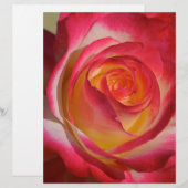 Beauty from Within (Front/Back)