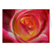 Beauty from Within (Front Horizontal)