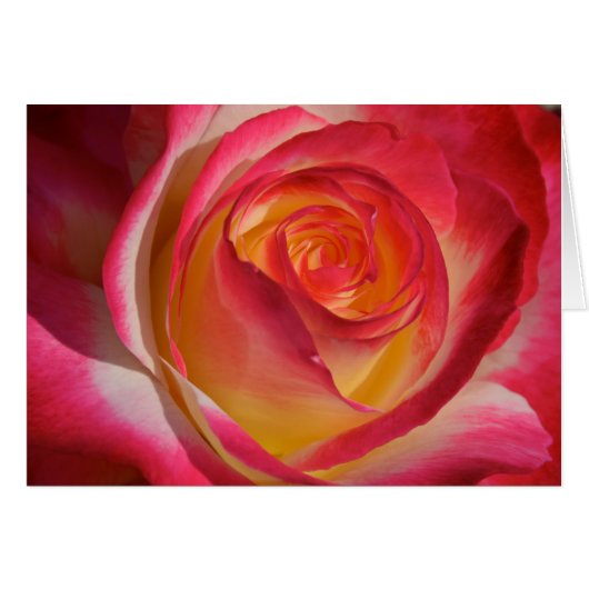 Beauty from Within Cards (Front Horizontal)