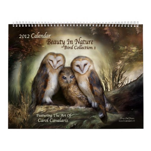 Beauty In Nature _ Bird Collection Calendar 2012