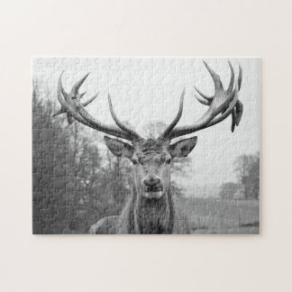 Beauty in nature jigsaw puzzle