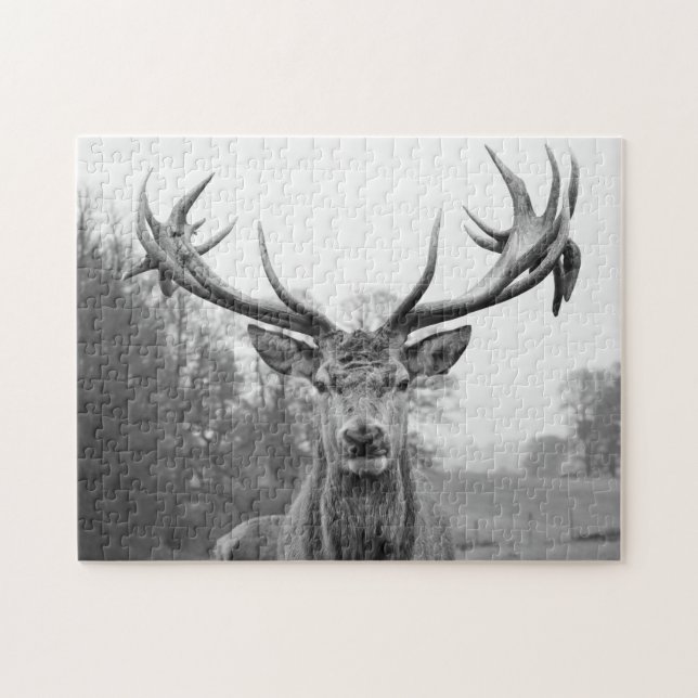 Beauty in nature jigsaw puzzle (Horizontal)