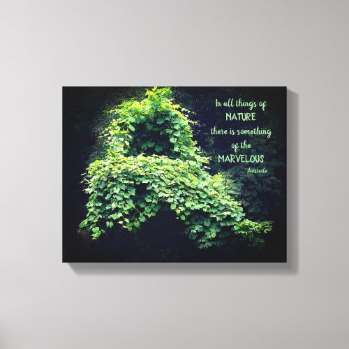 Beauty In Nature Vines Inspirational Quote Canvas Print