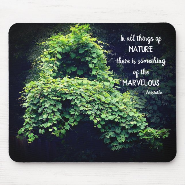 Beauty In Nature Vines Inspirational Quote  Mouse Pad (Front)