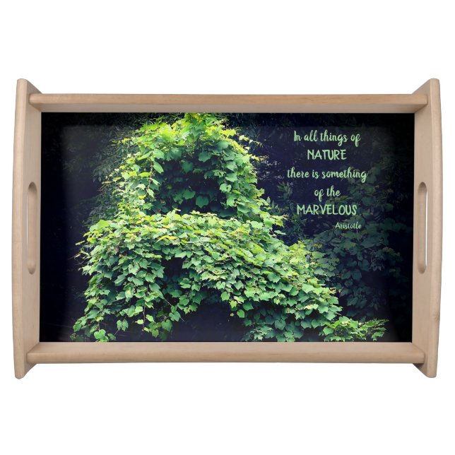 Beauty In Nature Vines Inspirational Quote Serving Tray (Front)