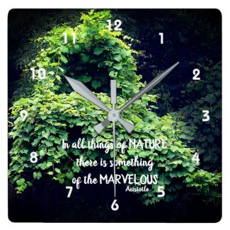 Beauty In Nature Vines Inspirational Quote 
