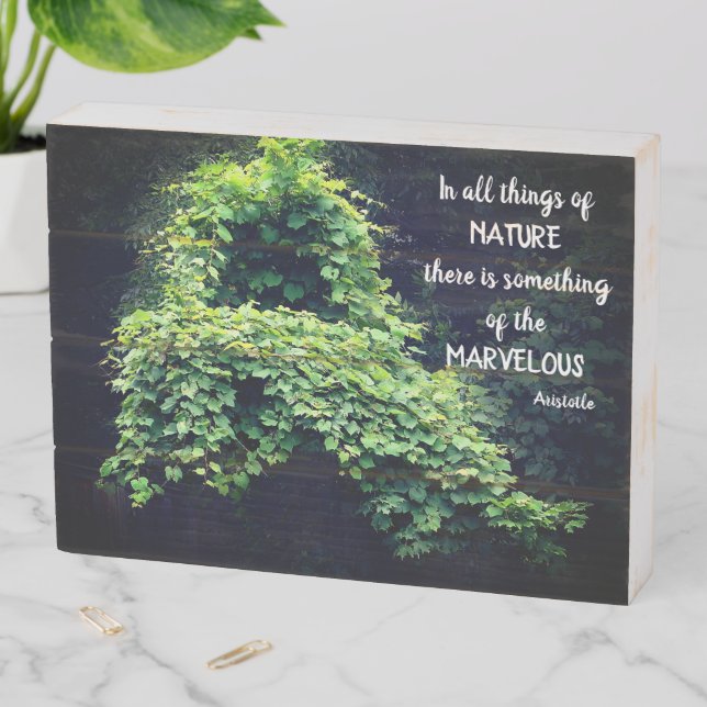 Beauty In Nature Vines Inspirational Quote Wooden Box Sign (In Situ Horizontal)