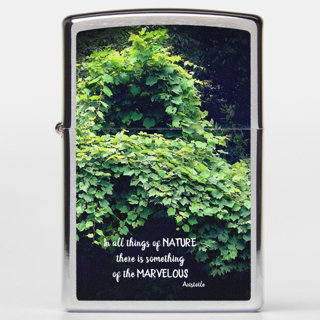 Beauty In Nature Vines Inspirational Quote  Zippo Lighter (Front)